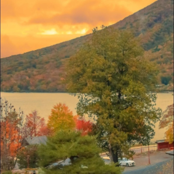 Meet your Posher, Jeremy - Picture 1 of 1